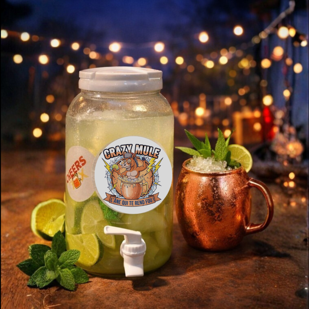 Crazy Mule - Le Moscow Mule Cheers Box