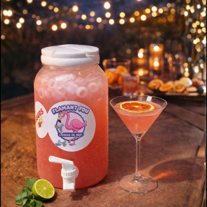 Flamant Fou - Le Cocktail Gin Pamplemousse Cheers Box